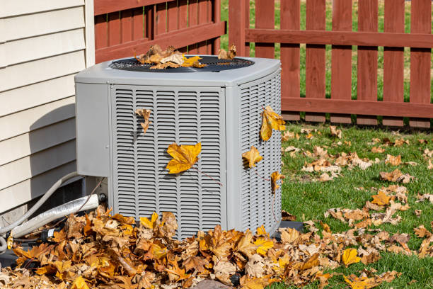 Best Furnace Repair Near Me  in Webster, FL